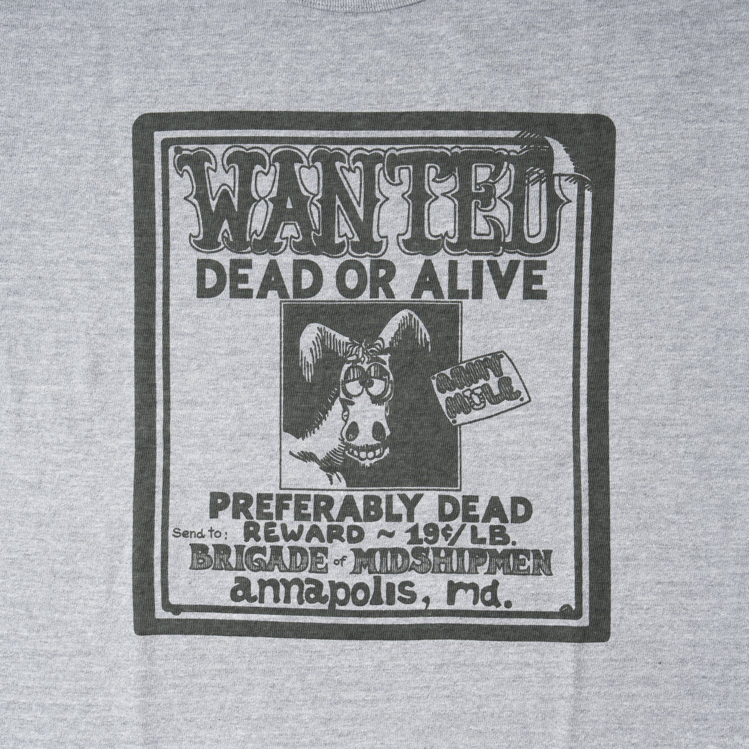 4096 88/12 HEATHER CREW NECK T WANTED - GRAY