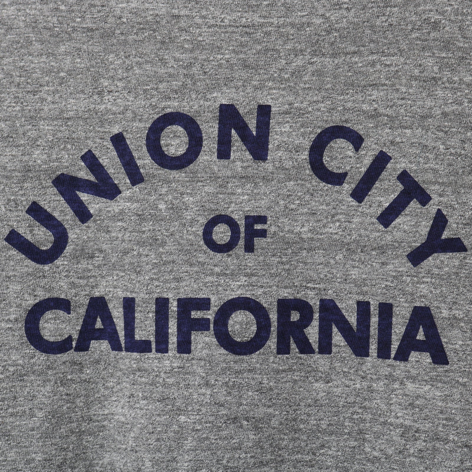 BR-26001 "TSURIAMI" CREW NECK S/S PRINT T-SHIRT (CALIF) - GRAY