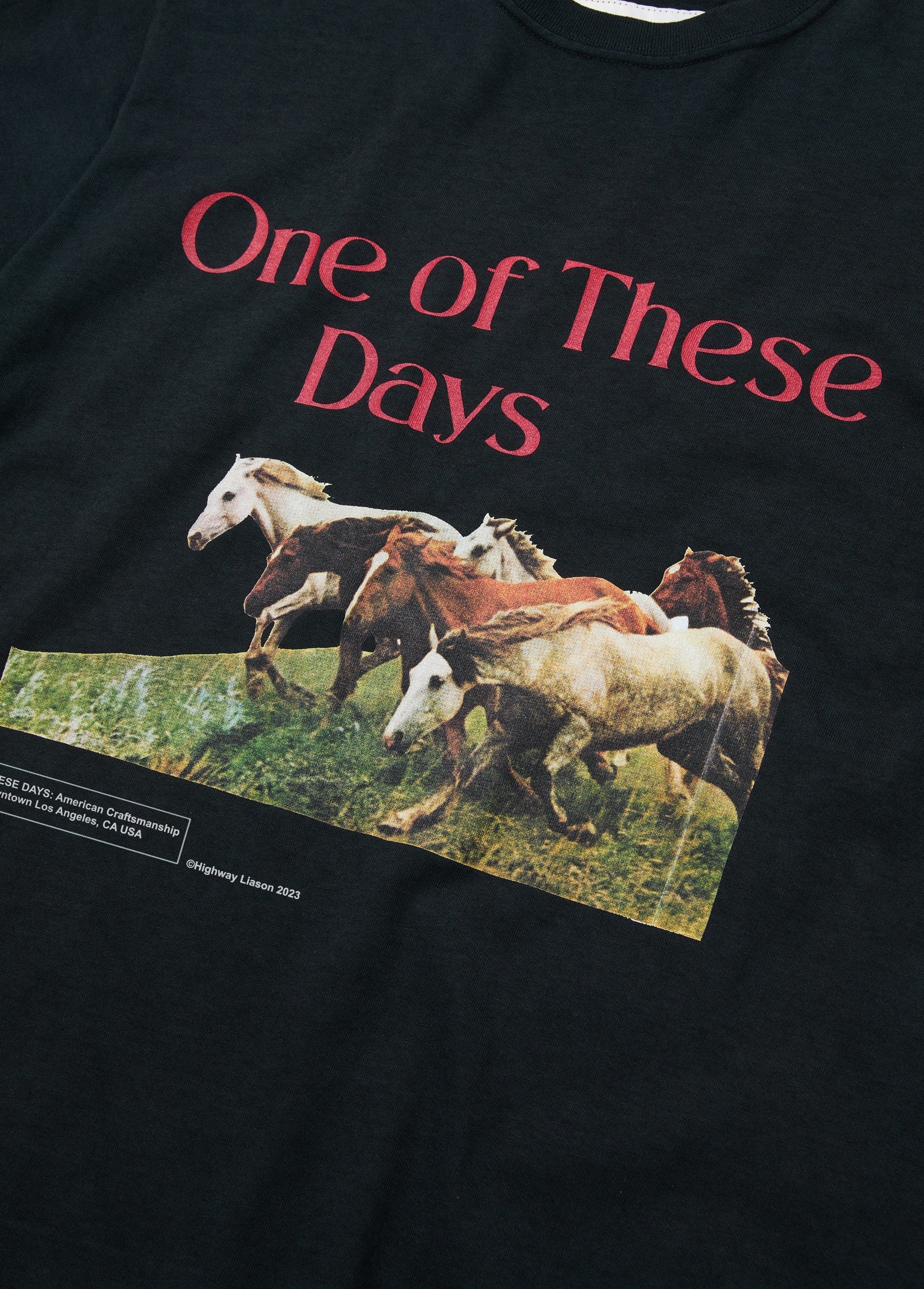 WILD HORSES TEE S/S - WASHED BLACK