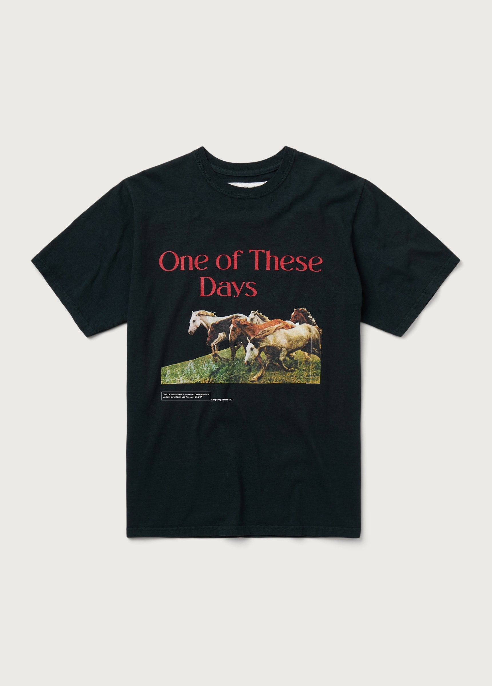 WILD HORSES TEE S/S - WASHED BLACK
