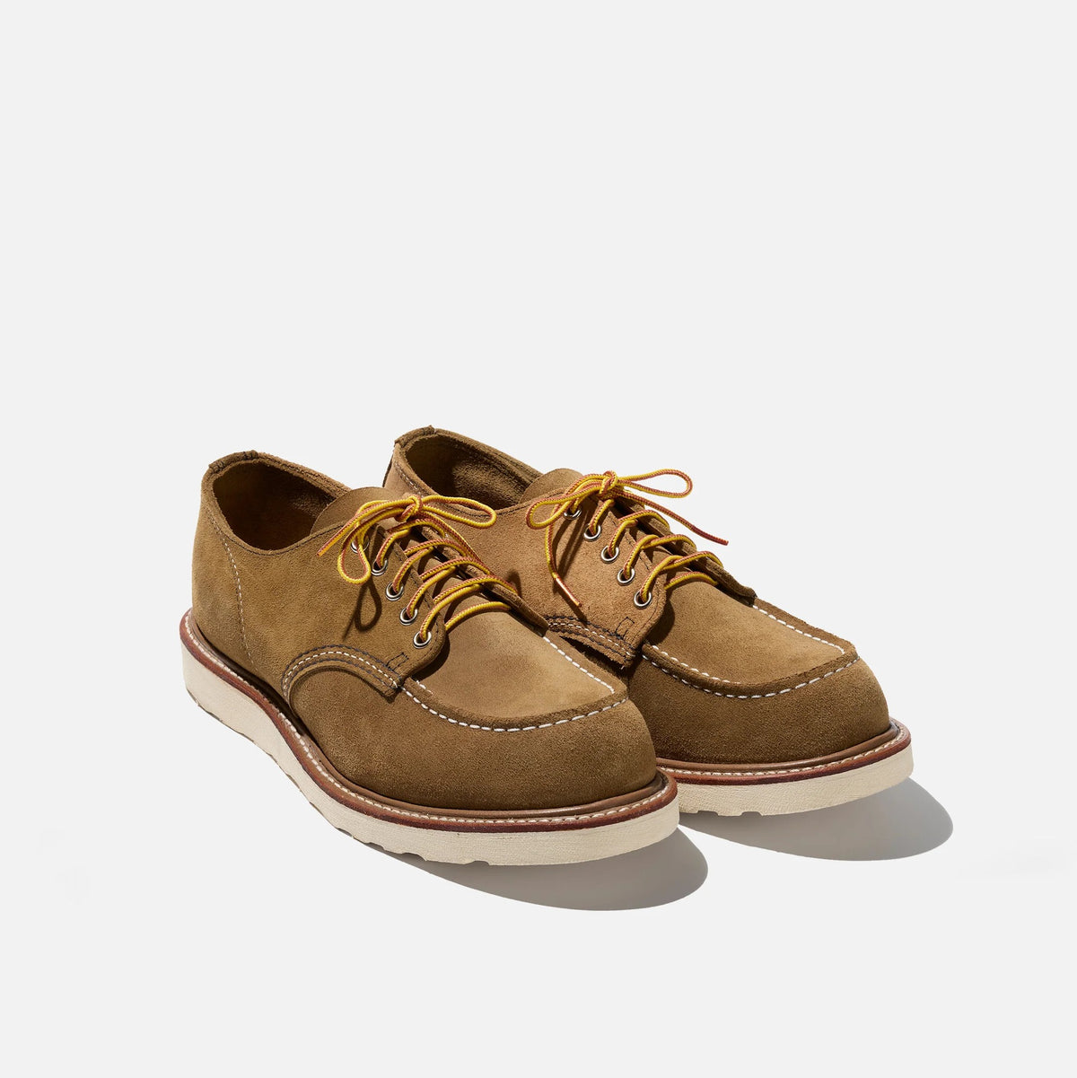 3113 - CAMEL MULTI