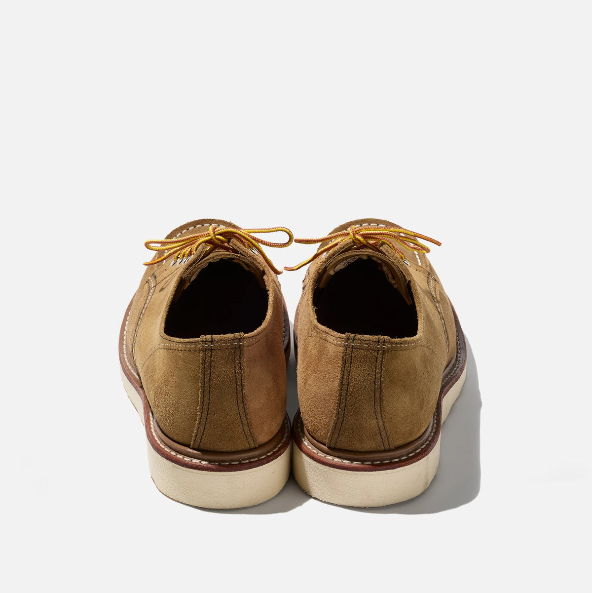3113 - CAMEL MULTI