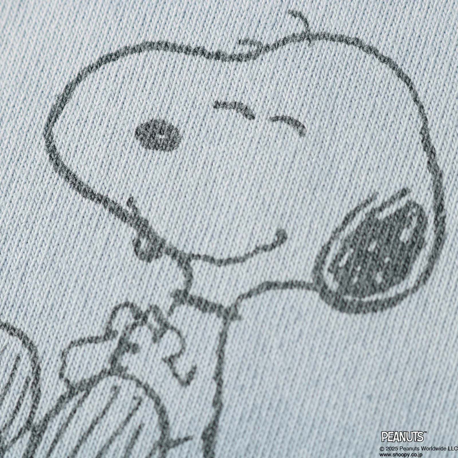 BR-25267 (PEANUTS GANG) 10/- Heavyweight S/S Print T-shirt (Special Item) - SAX