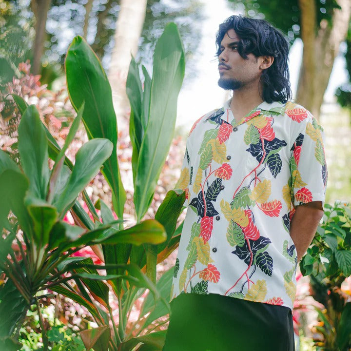 1256 Monstera Border - White