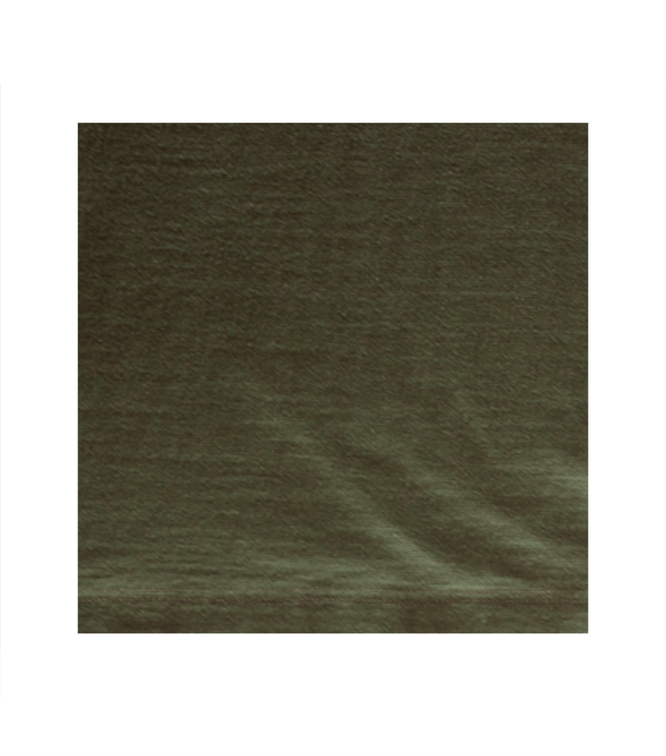 BR79559 SLUB YARN T-SHIRT U.S. ARMY AIR FORCES - OLIVE