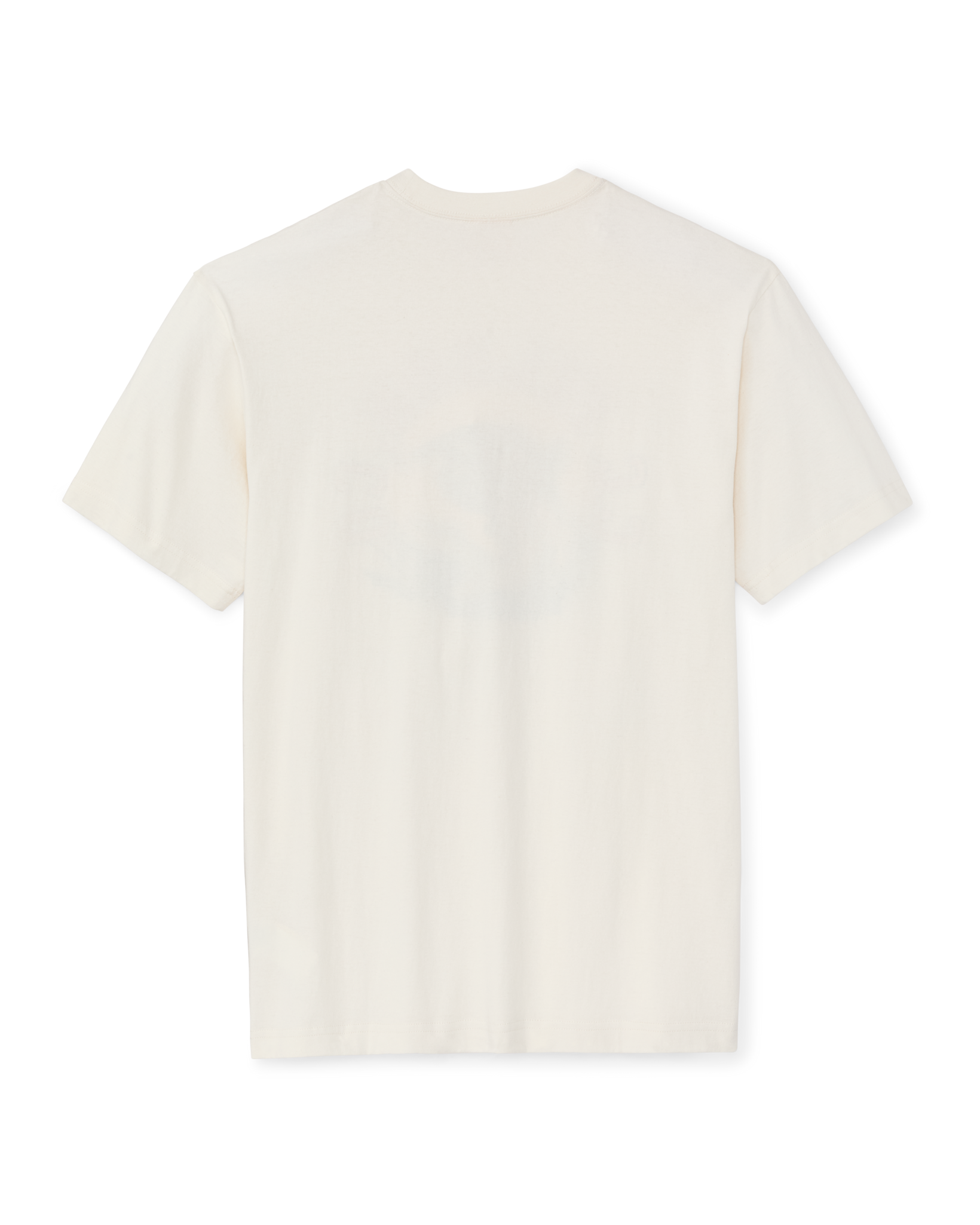 DRY FLY GRAPHIC T-SHIRT - BASSWOOD