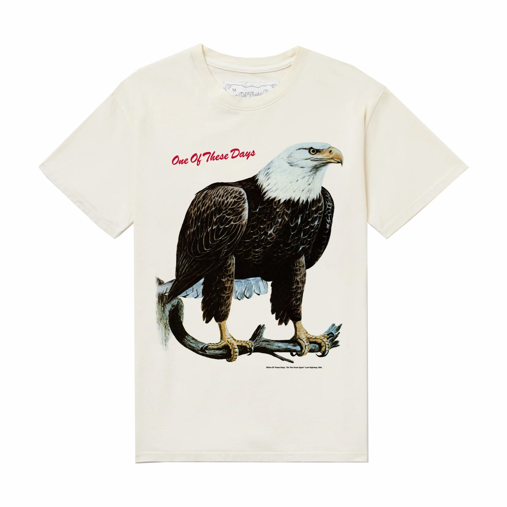 BIRD OF PREY  TEE S/S - BONE