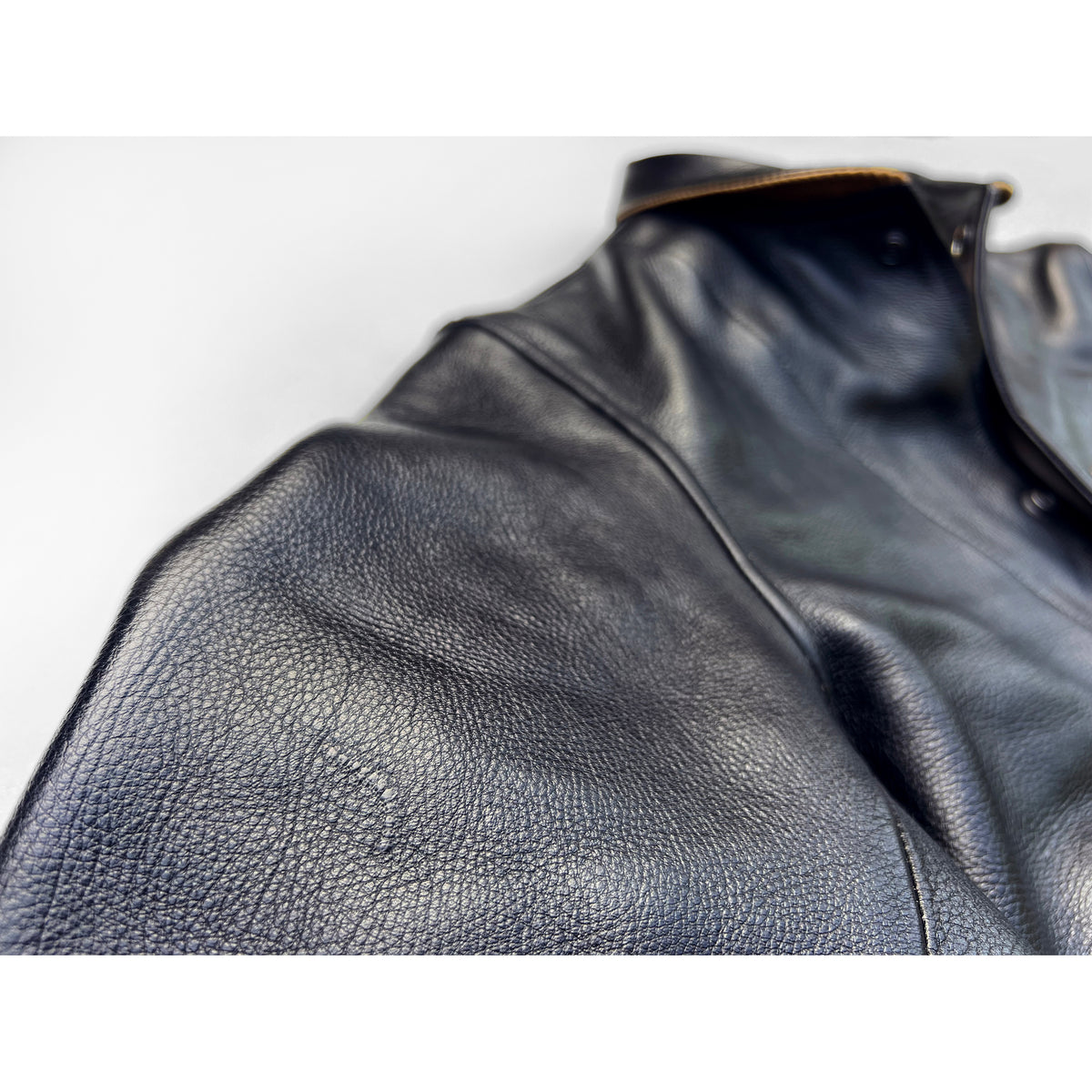 CAMPUS "STUD" JACKET STALLION - BLACK