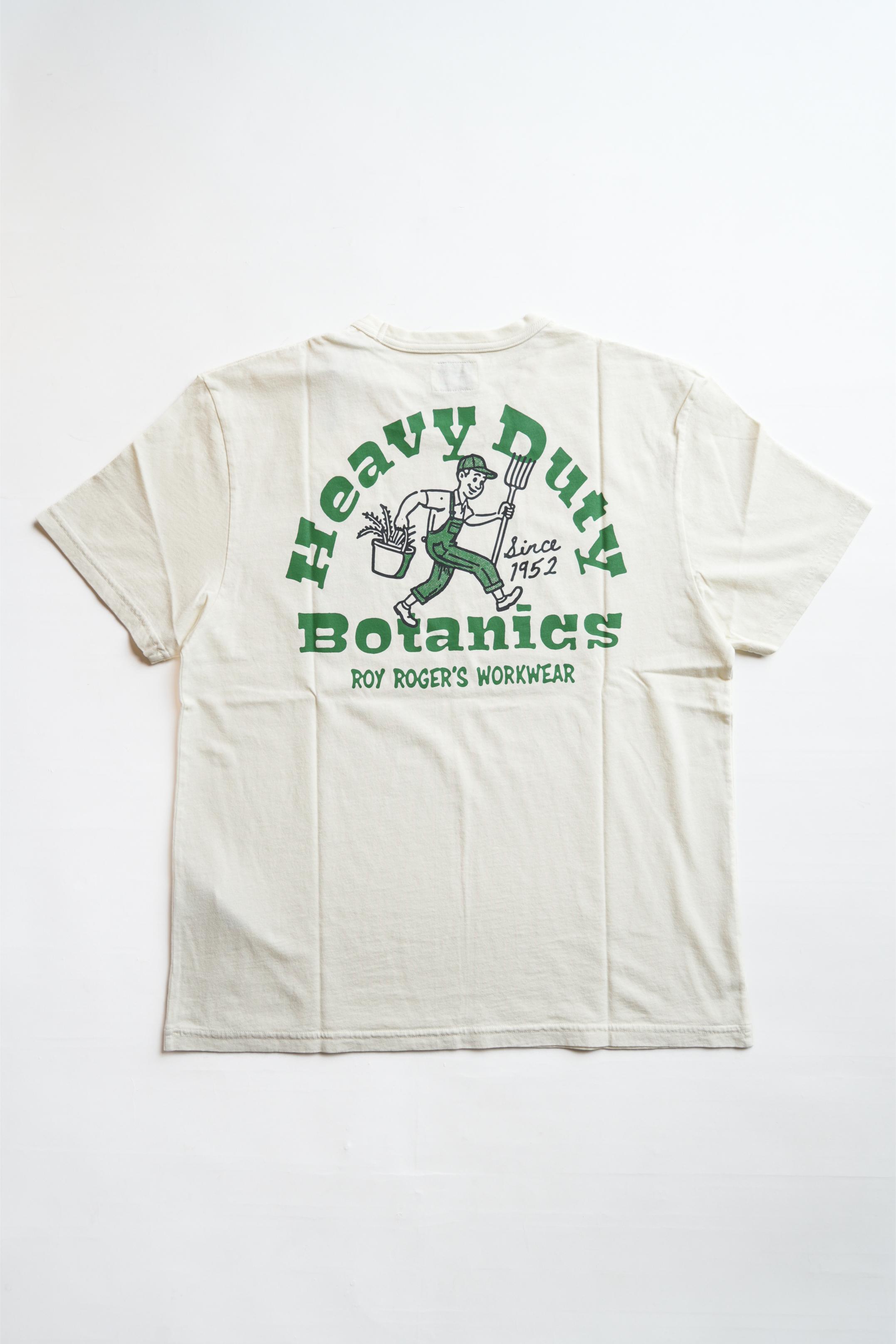 T-Shirt Jersey Botanics - Dyed Butter