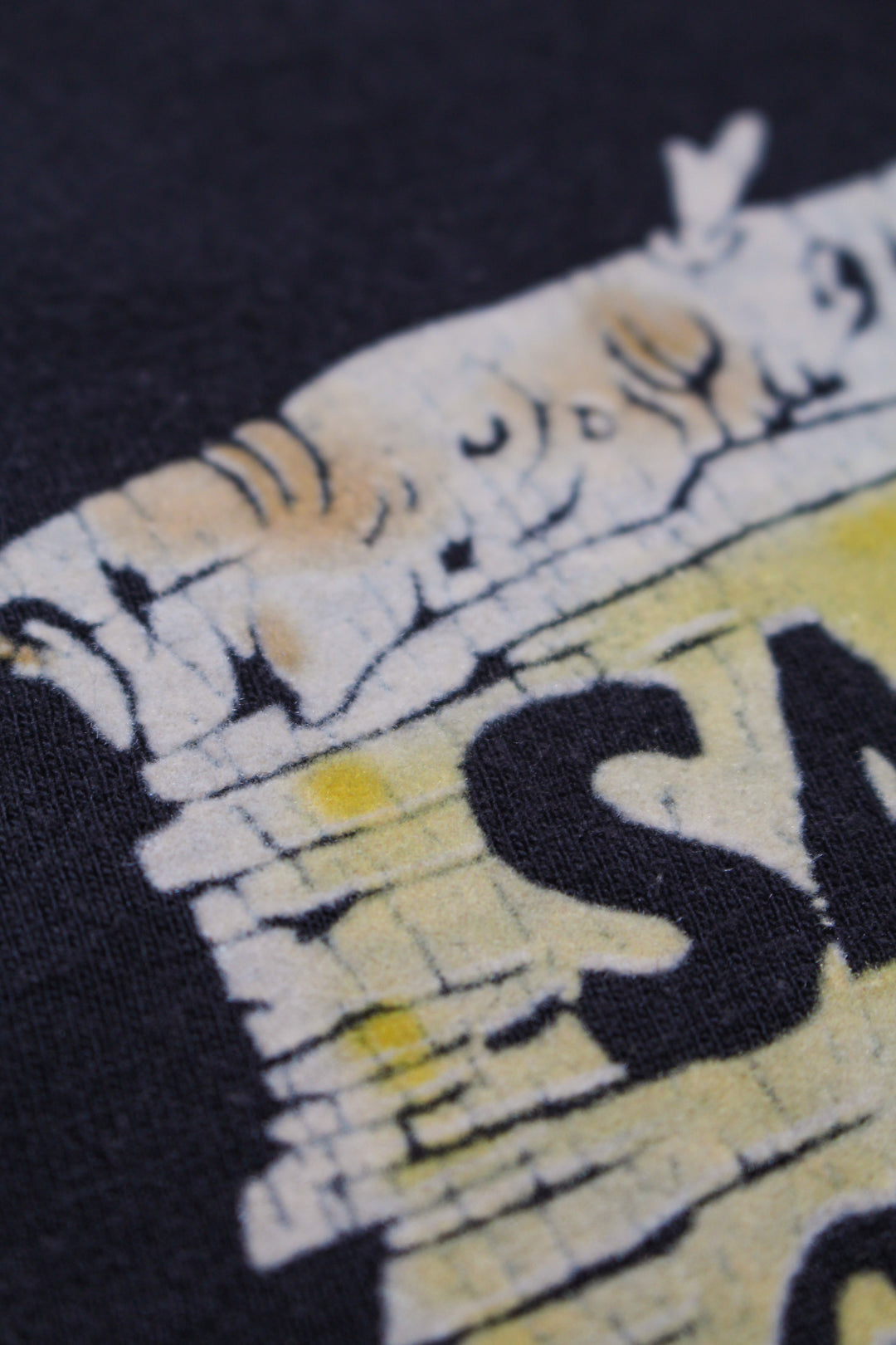 SALISH LODGE TEE AGED - 88/12 BLACK