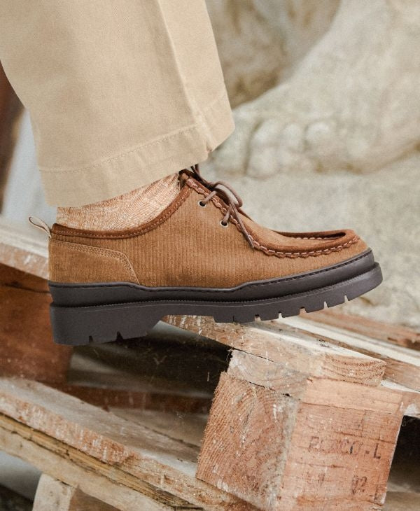 MAJOR V CORD - MARRON