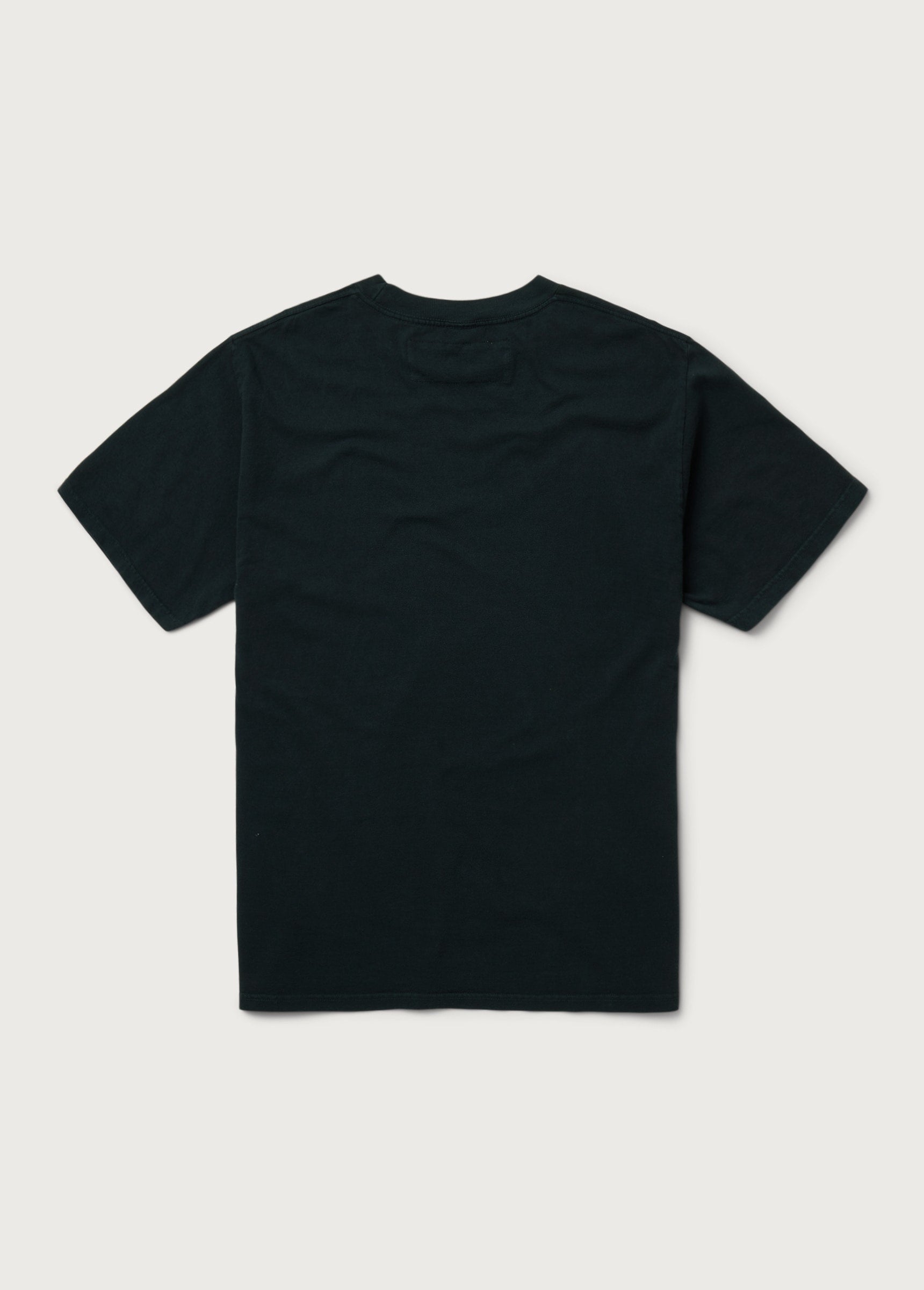 WILD HORSES TEE S/S - WASHED BLACK