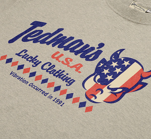 TDSS-559 AMERICAN POP - ASH