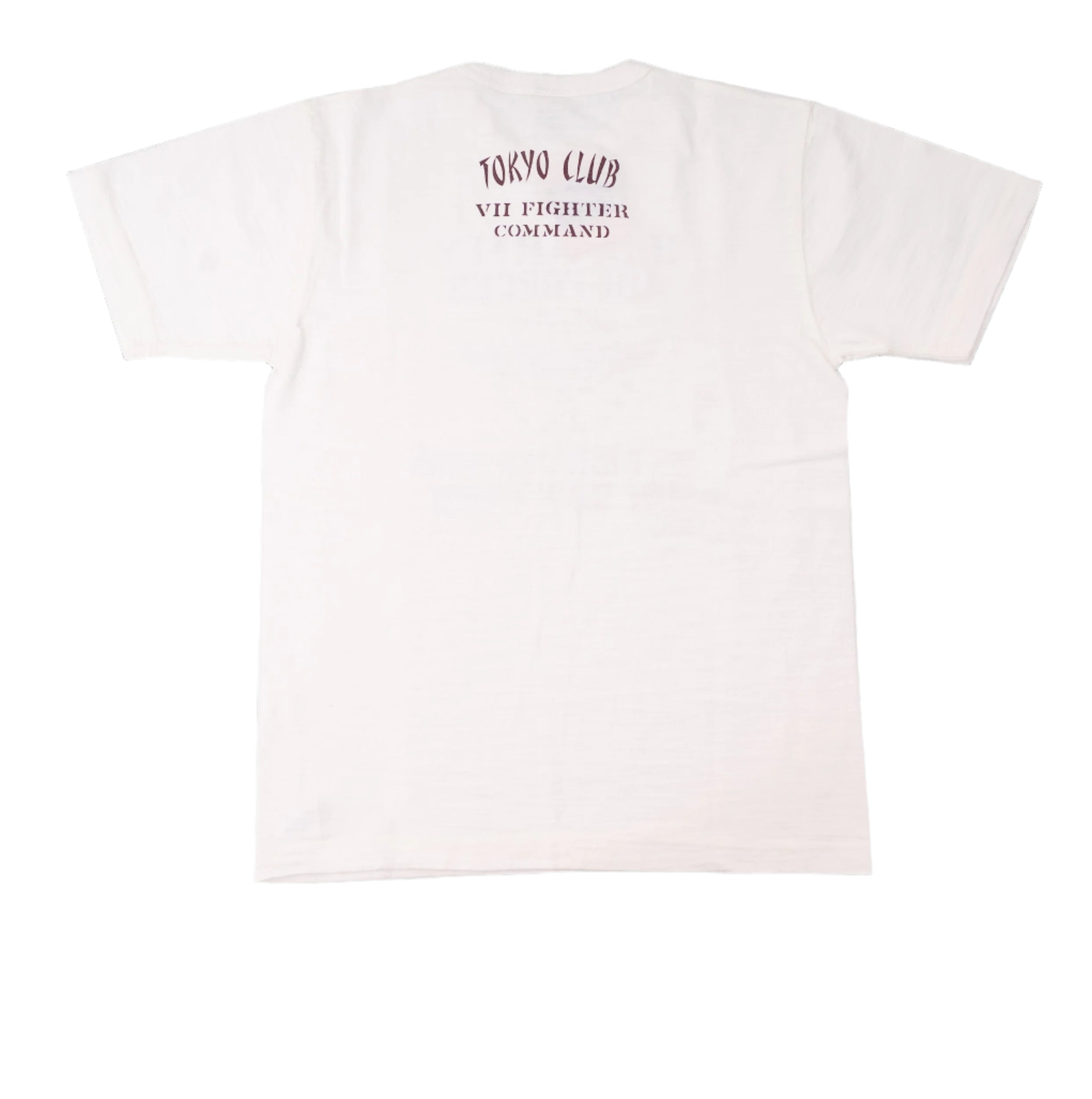 BR79562 SLUB YARN T-SHIRT 72nd FIGHTER SQ - WHITE